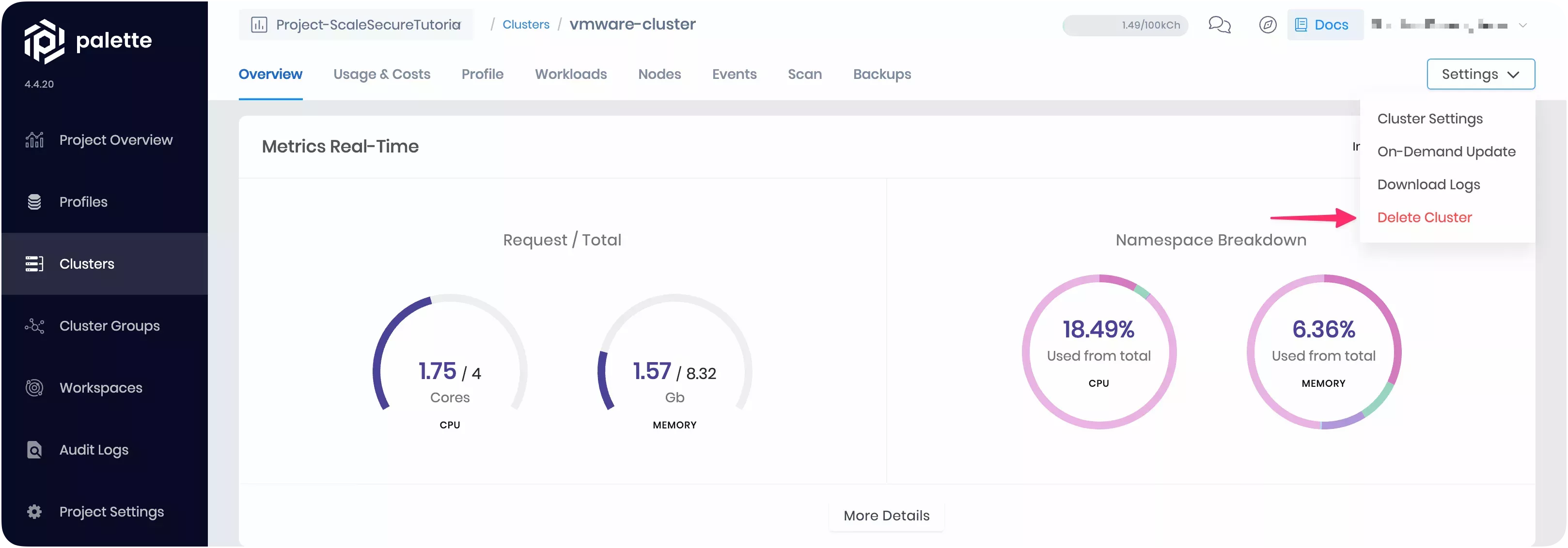 Delete cluster